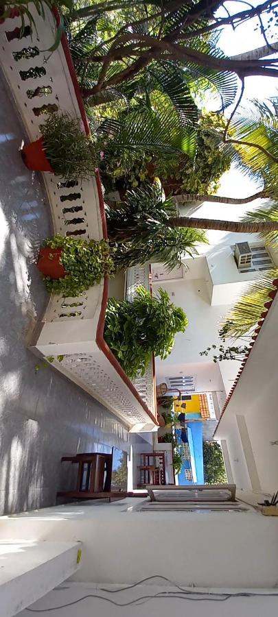 Daphne Hotel マハーバリプラム エクステリア 写真