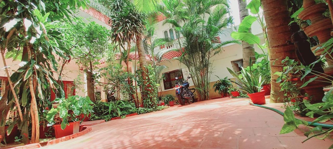 Daphne Hotel マハーバリプラム エクステリア 写真