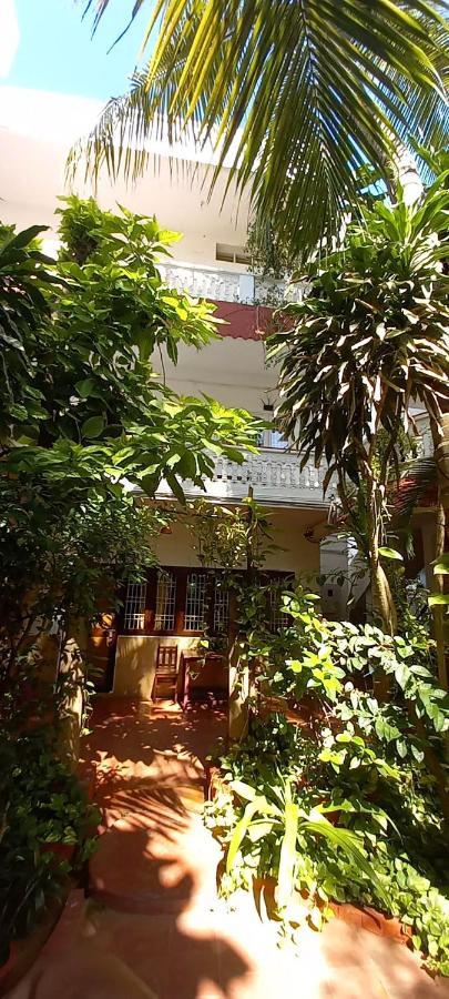 Daphne Hotel マハーバリプラム エクステリア 写真
