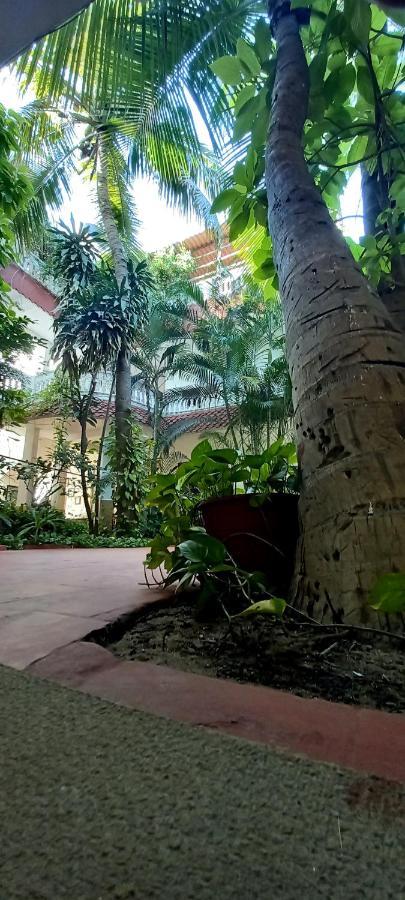 Daphne Hotel マハーバリプラム エクステリア 写真